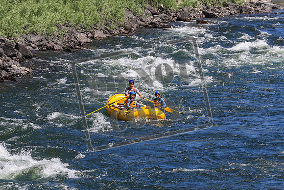 20260802-IMG_2561