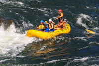 20260802-IMG_3331