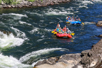 20260802-IMG_3556