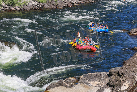 20260802-IMG_3556