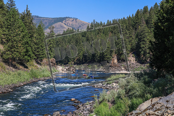 20260802-IMG_3529