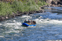 20260802-IMG_1772