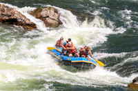 20260802-IMG_2386
