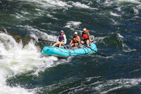 20260802-IMG_2951
