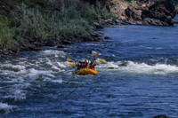 20260802-IMG_2098
