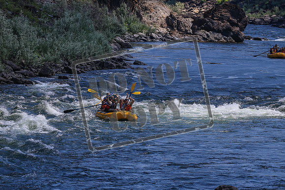 20260802-IMG_2096