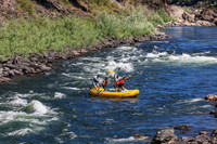 20260802-IMG_2698