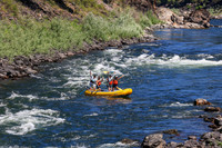 20260802-IMG_2696