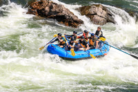 20260802-IMG_1956