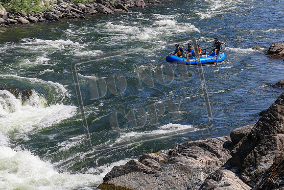 20260802-IMG_1973