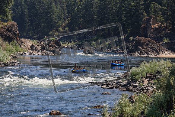 20260802-IMG_1942