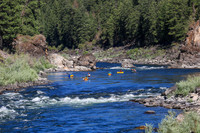 20260802-IMG_3814