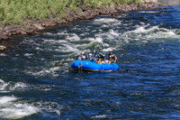 20260802-IMG_3666