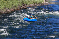 20260802-IMG_3664