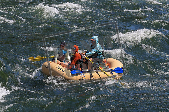 20260802-IMG_2061