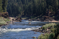 20260802-IMG_2056