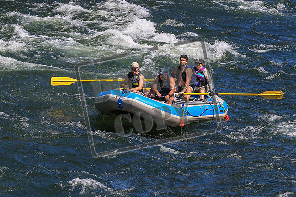 20260802-IMG_2739