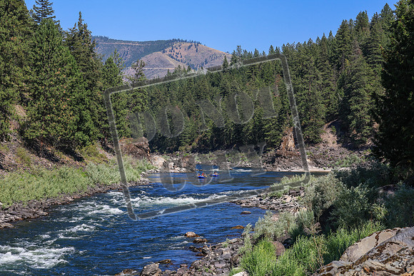 20260802-IMG_3398