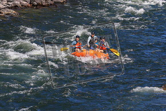 20260802-IMG_3141