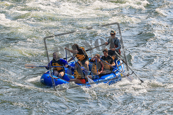 20260803-IMG_4037