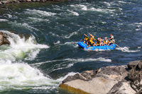 20260803-IMG_4771