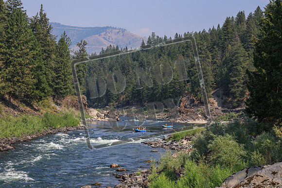 20260803-IMG_4758