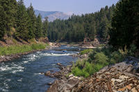 20260803-IMG_4762