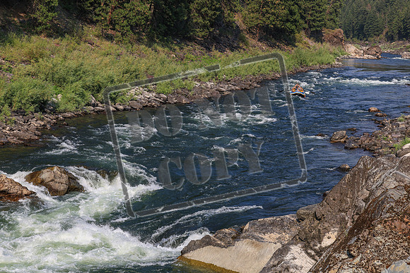 20260803-IMG_5147