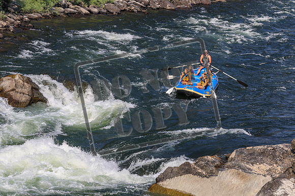 20260803-IMG_5155