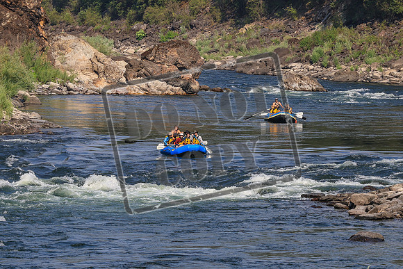 20260803-IMG_5113