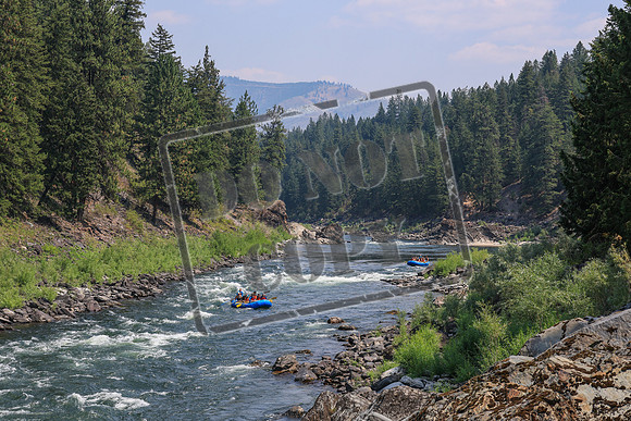 20260803-IMG_4561