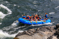 20260803-IMG_4577