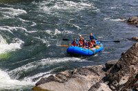 20260803-IMG_4573
