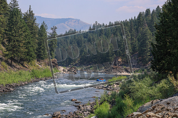 20260803-IMG_4559