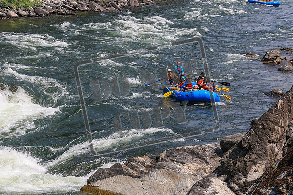 20260803-IMG_4571