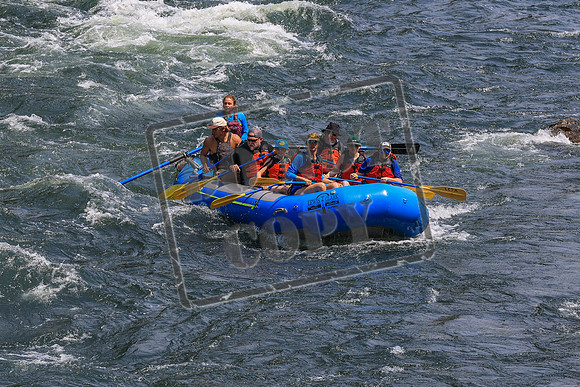 20260803-IMG_4569