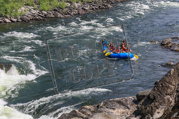 20260803-IMG_4602