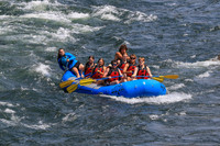 20260803-IMG_4601