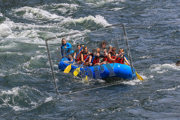 20260803-IMG_4599