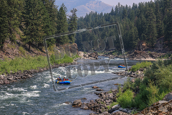 20260803-IMG_4564