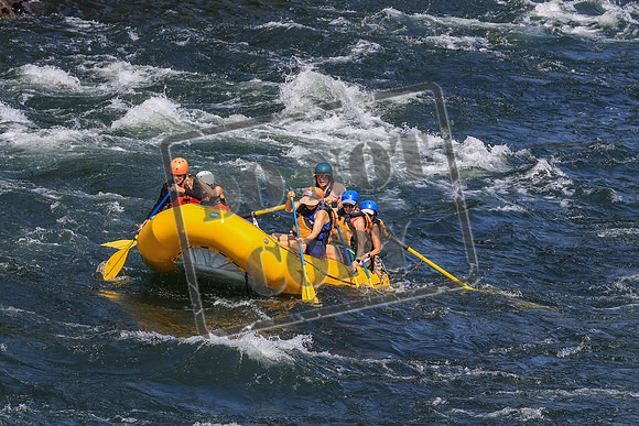 20260803-IMG_4935