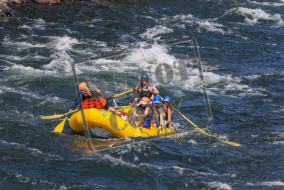 20260803-IMG_4934