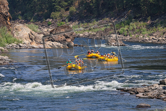 20260803-IMG_4864