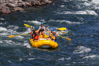 20260803-IMG_4928