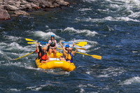 20260803-IMG_4929
