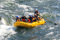 20260803-IMG_4128