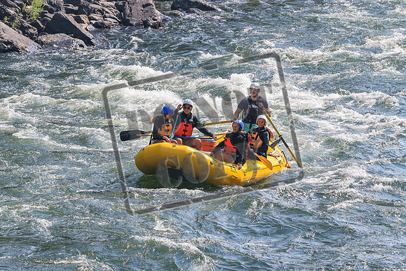 20260803-IMG_4124