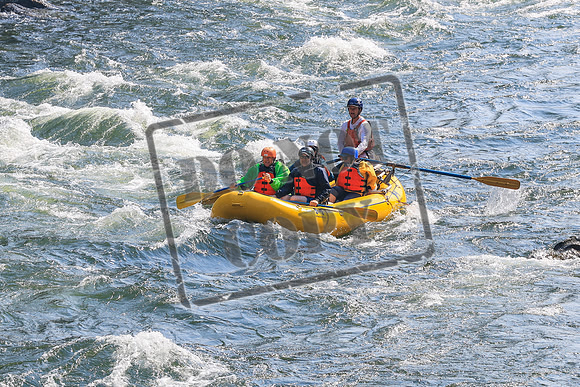 20260803-IMG_4149