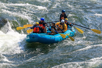 20260803-IMG_4184
