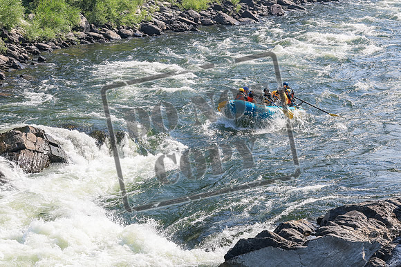 20260803-IMG_4181